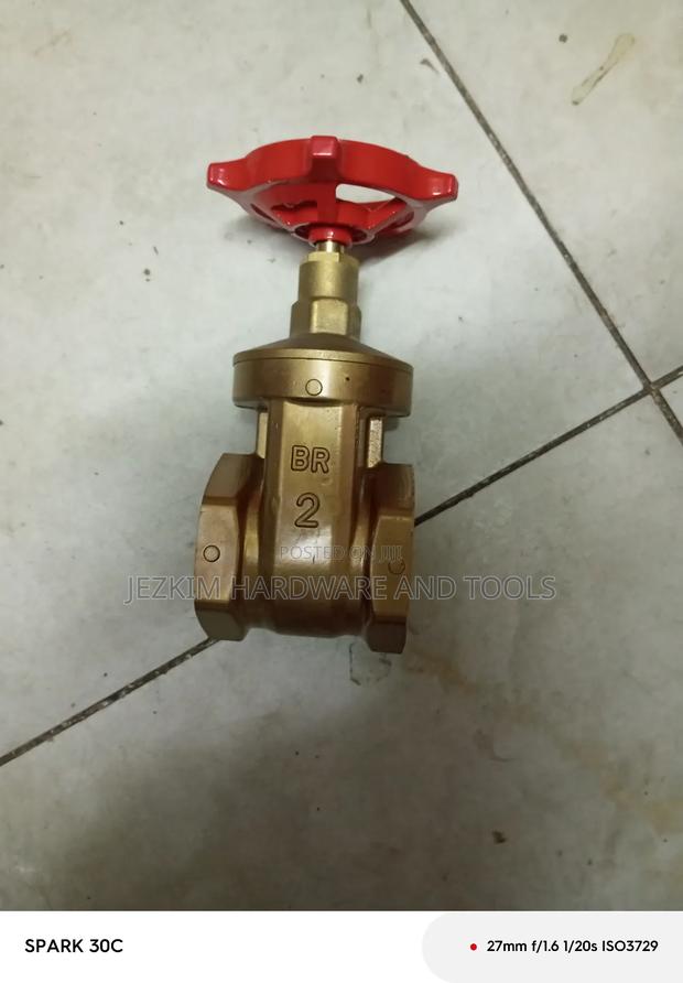 2" Peglar Gate Valve - thumbnail 2