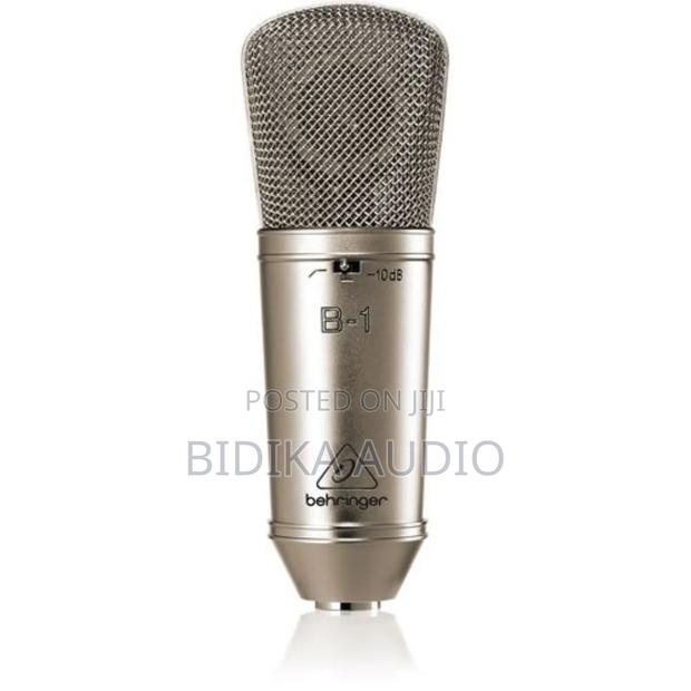 Stardard Behringer B-1 Microphone
