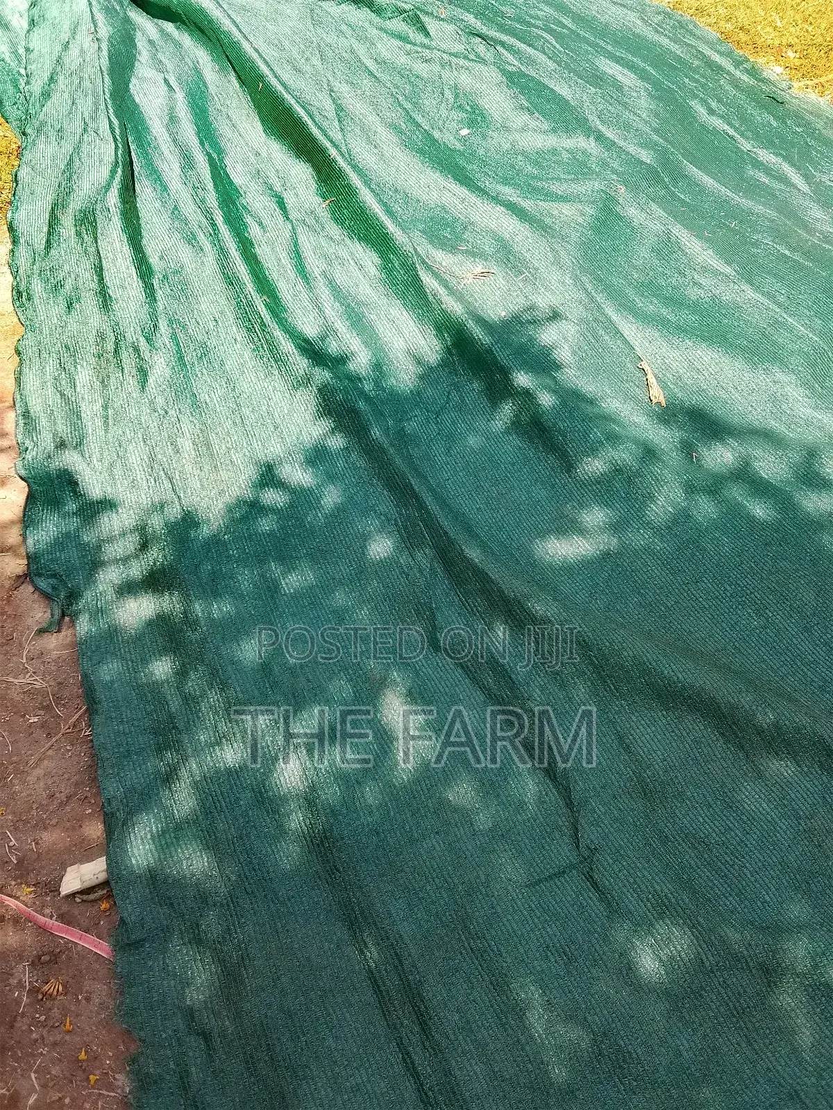 Green Shade Net