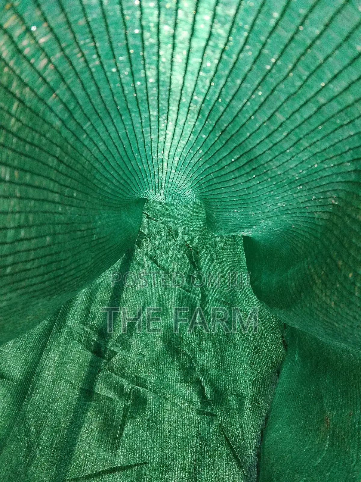 Green Shade Net