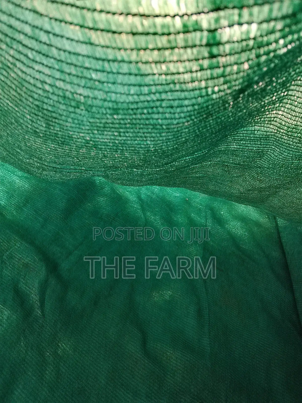 Green Shade Net