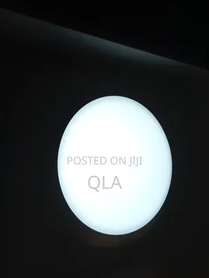 Ceiling Light/ Bulkhead With Sensor