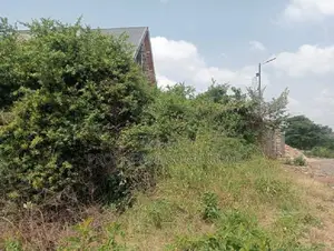 100 X 100 Residential Land for Sale at O/Rongai Maasi Lodge