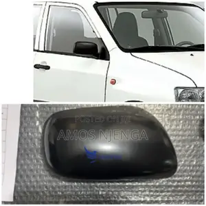 Probox Side Mirror Cover