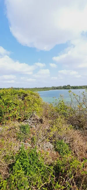 For Sale 1 Acre Beach Land Shanzu