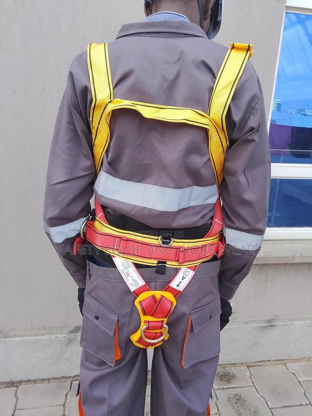 Vaultex Harness - main view