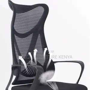 Office Chairs: Ergonomic Supportive Office Mesh Chair