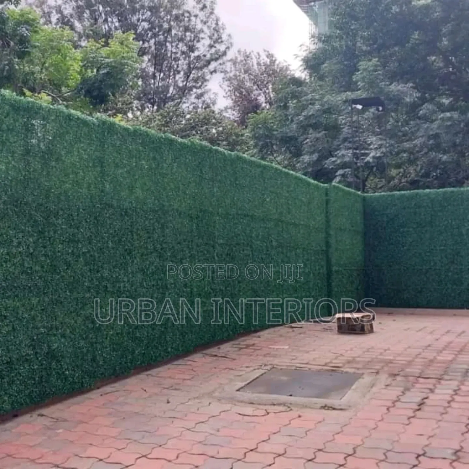 Outdoor Wall Plants Outdoor Wall Plants
