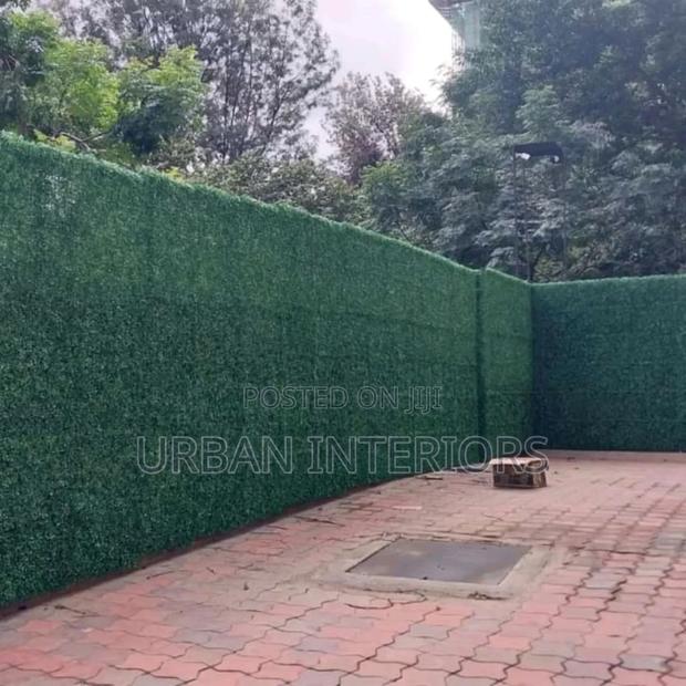 Outdoor Wall Plants Outdoor Wall Plants