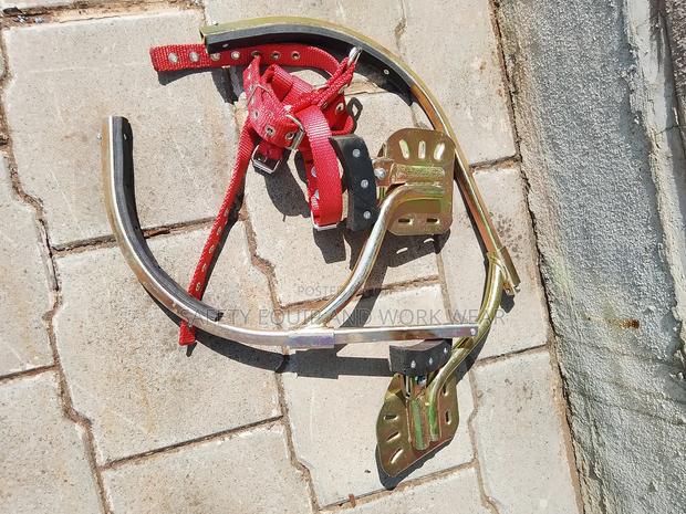 Pole Ascenders - main view