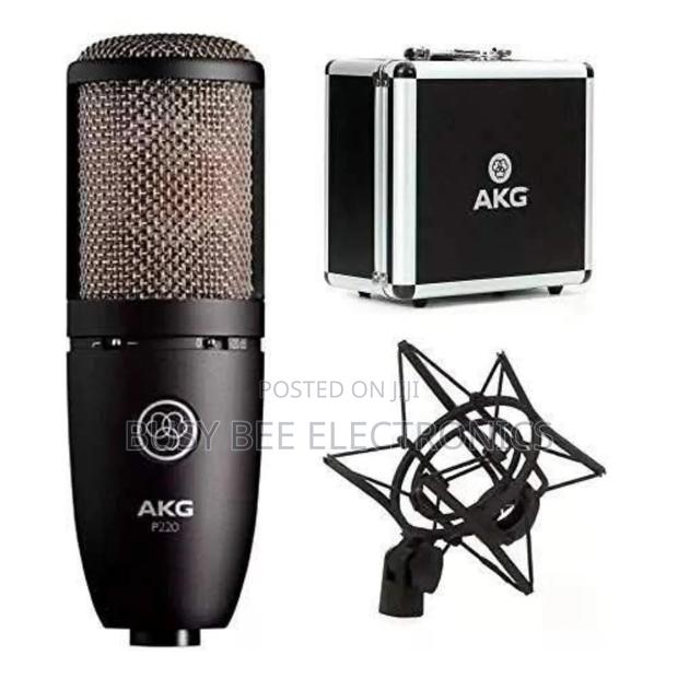 AKG P220 High-Performance Condenser Microphone - main view