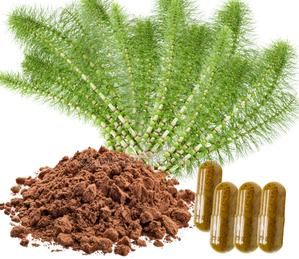 Horse Tail Extract 250g - thumbnail 2