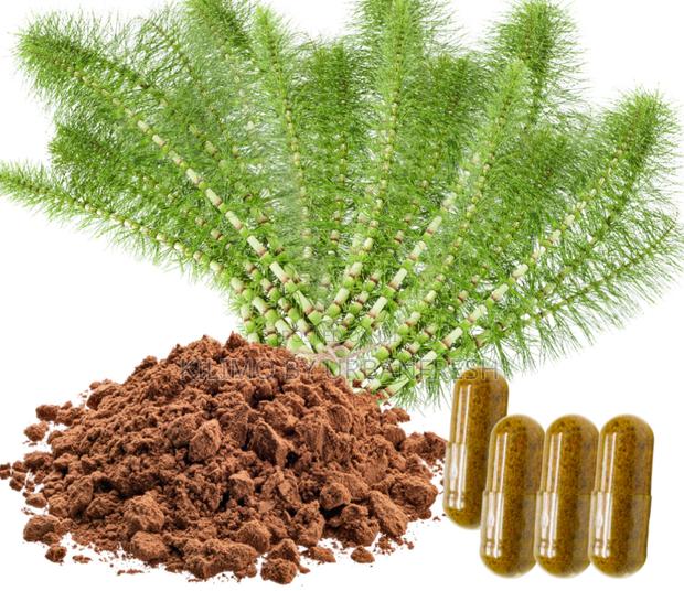 Horse Tail Extract 250g - main view