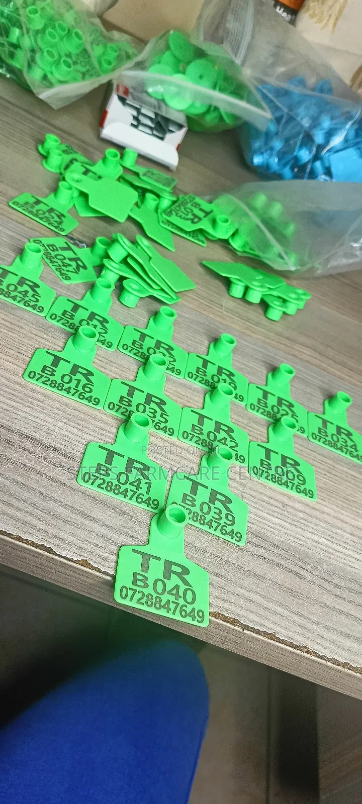 Green Neatly Customised Goat Tags