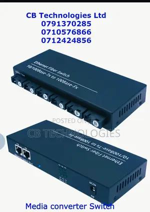 Single Core Media Converter Switch(3A/3b)