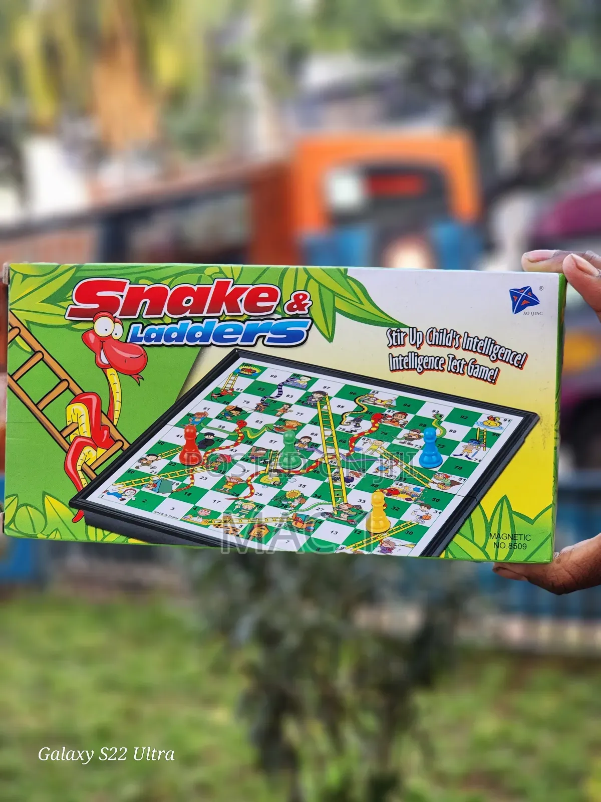 Snake and Ladders Magnetic
