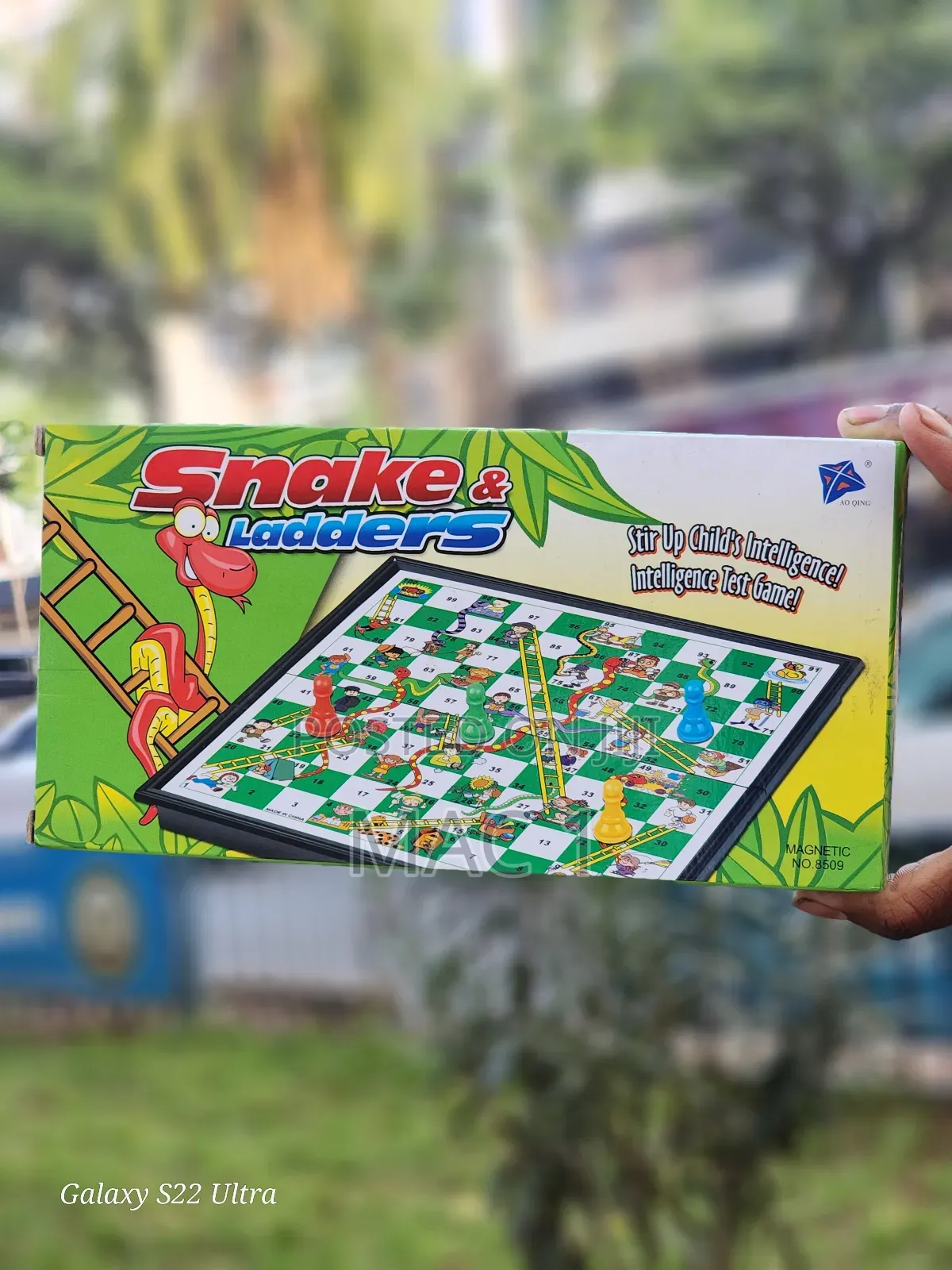 Snake and Ladders Magnetic