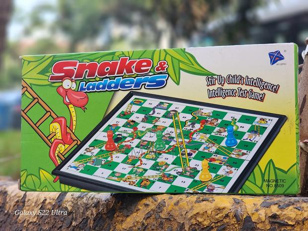 Snake and Ladders Magnet Boards - main view
