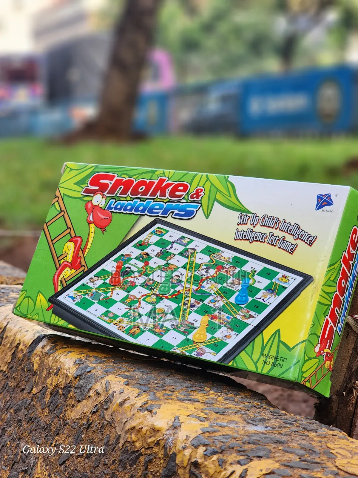 Snake and Ladders Magnet Boards