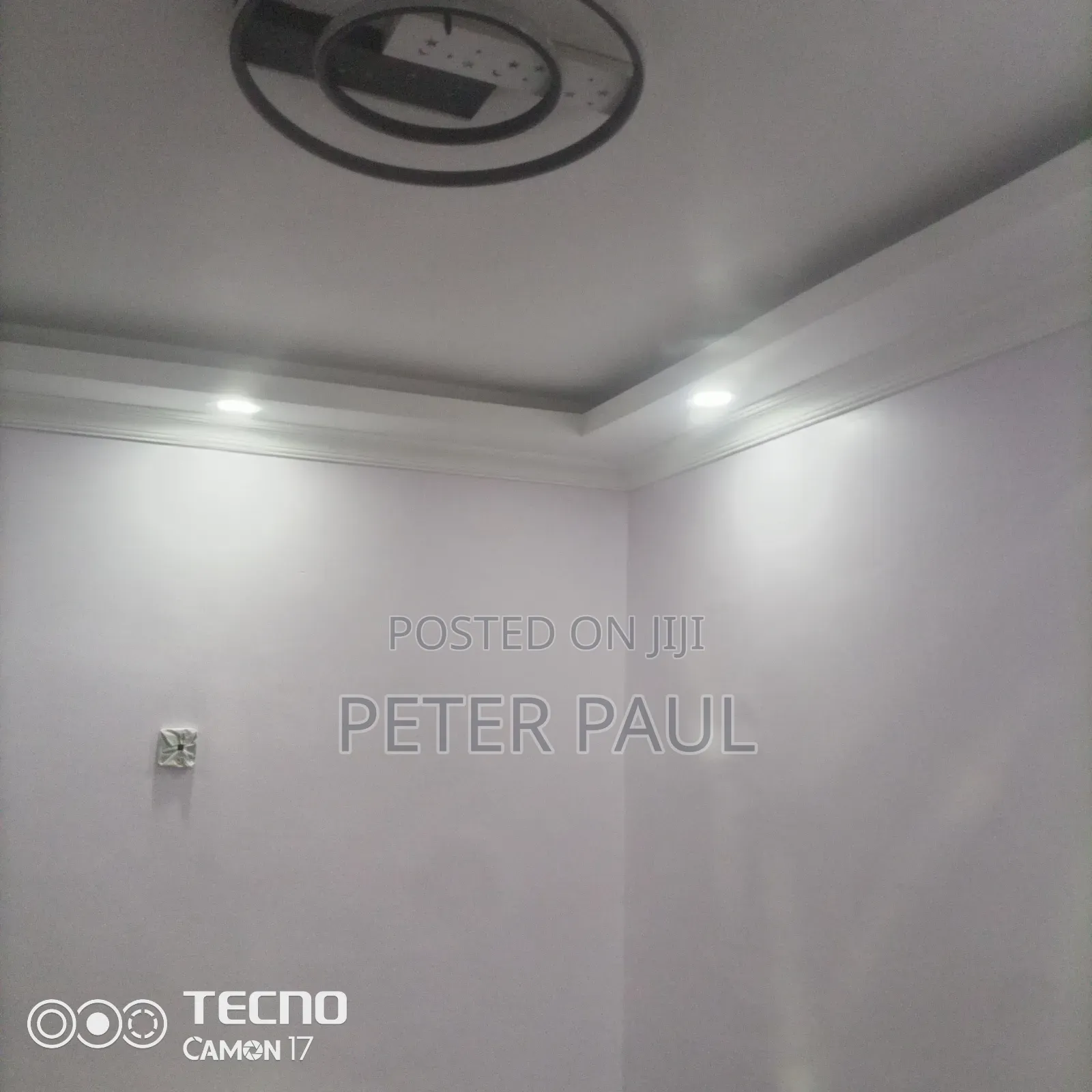 Painting and Wall Work