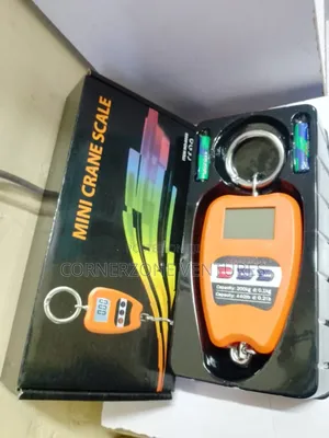 200 Kg Mini Crane Scale