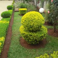 Doniry Investment logo