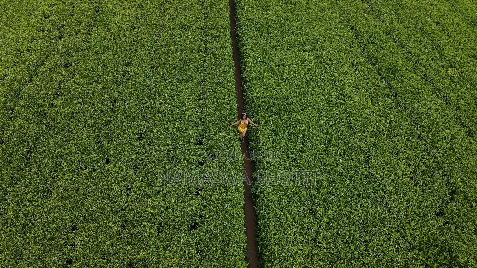 Drone Services Nairobi