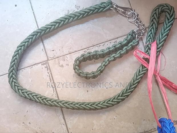 Suitable Dog Chain - main view