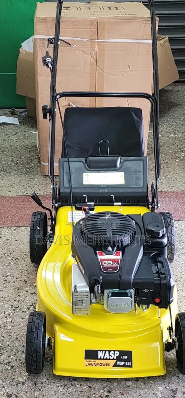 Gasoline 4hp Wasp Lawnmower