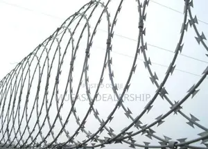 Razor Wire Fence (Top Quality)