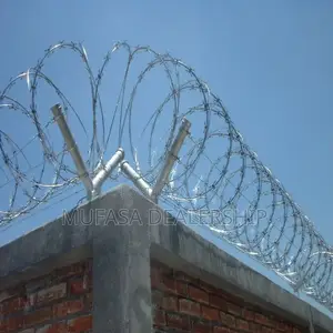 Wall Razor Wire Mesh