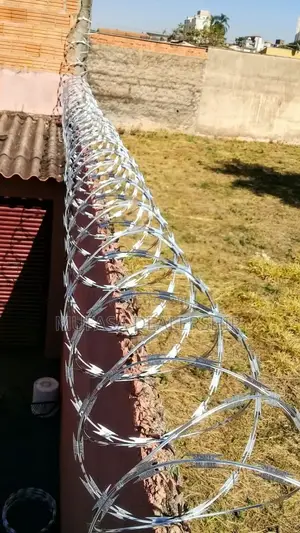 Wall Razor Wire Mesh