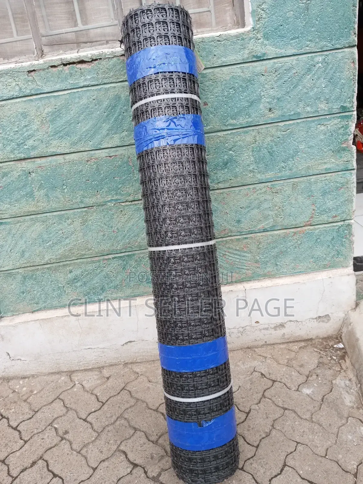 Plastic Geogrid Mesh/ Earth Grid.