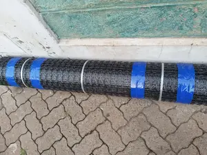 Plastic Geogrid Mesh/ Earth Grid.