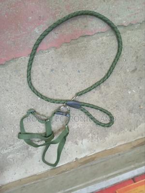 Dog Chain Dog Chain - thumbnail 2