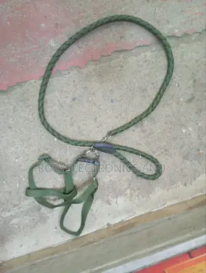Dog Chain Dog Chain
