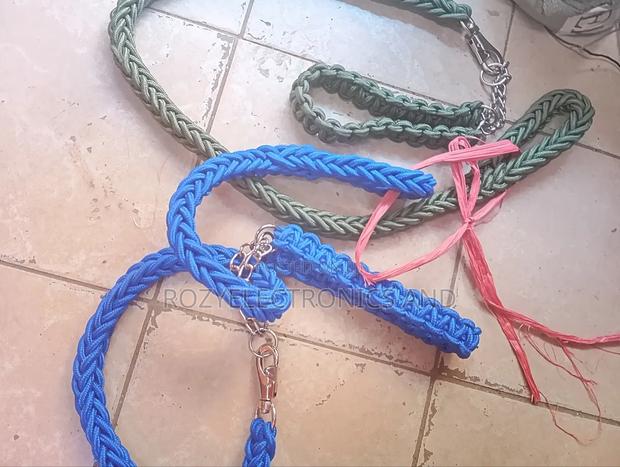 Dog Chain Dog Chain - main view