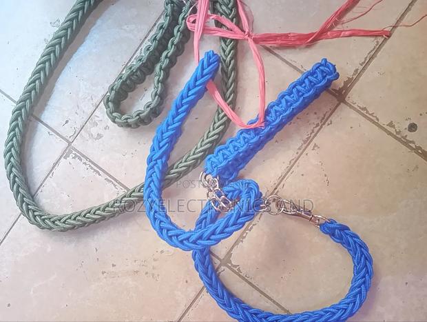 Dog Chain Dog Chain - thumbnail 3