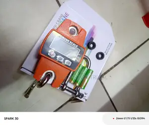 Mini Crane 300kg