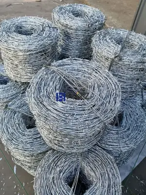 Spikes Barbed Wire Fence 610m