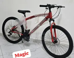 Size 26 Geared Bike* 