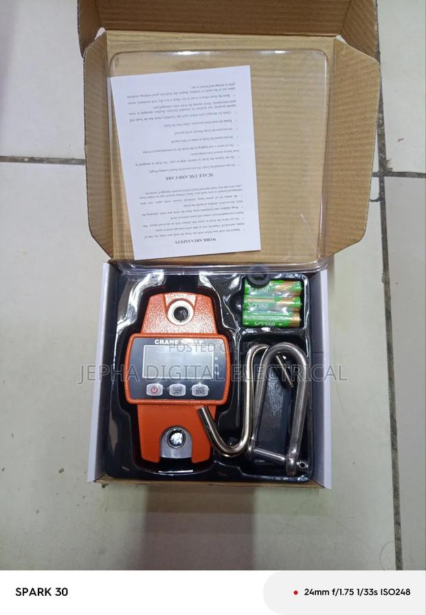 Mini Crane Hanging Scale 300kg
