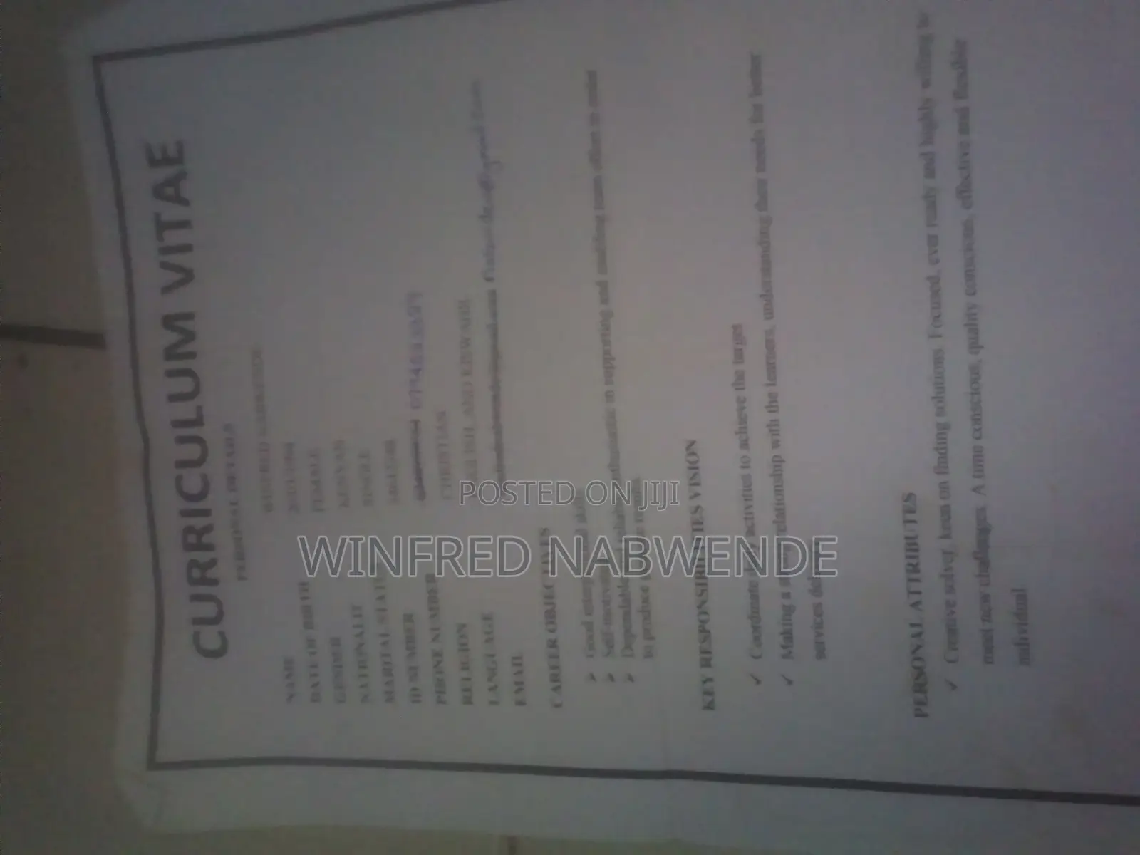 Housekeeping Cleaning CV