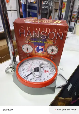 Handson Hanging Spring Scale