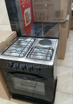 Stainless Steel Ailyons 50*55 3gas+1electric GS-55