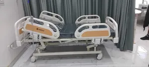 3 Crank Electric Bed