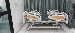 3 Crank Electric Bed