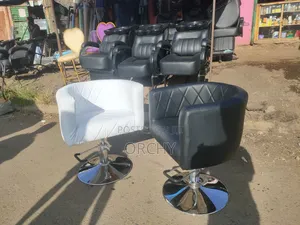 Hydraulic Salon Seat