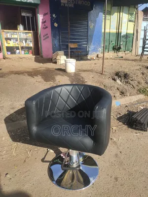 Hydraulic Salon Seat