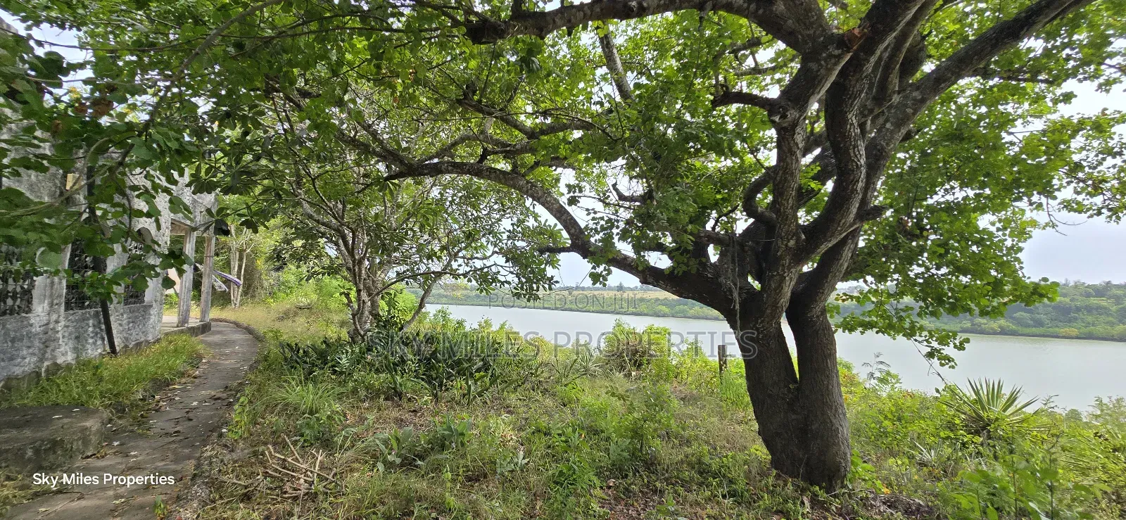 2-acre Prime Creekfront Beach Plot For Sale